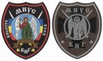 Набор нашивок полка казачьей национальной гвардии Всевеликого войска Донского